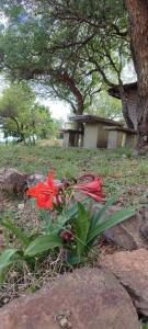 CASA QUINTA en ESTANCIA VIEJA