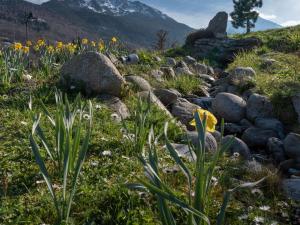 Appartement 6 personnes à Saint Lary Village avec balcon - FR-1-296-434