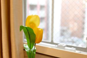 道頓堀 - Dotonbori 20m, USJ 30m, KIX 1hr, 5m to Stn - XS29