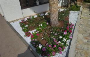 Nice Apartment In Pirovac With Wifi - Csv384