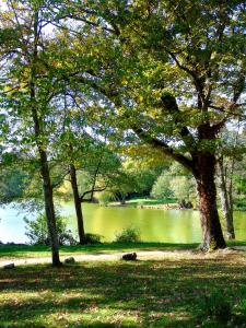 Les chalets au bord de létang de Malleteix