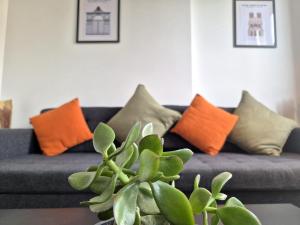 Nuit des Sacres - Hyper Centre - Cathédrale