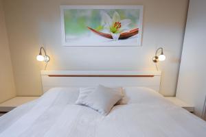 Zur schönen Aussicht - FW 17