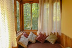 Shasha - Paused perfect