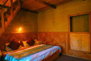 Shasha - Paused perfect