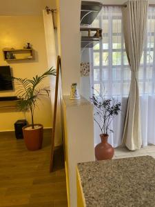 Travellers Stays Nanyuki