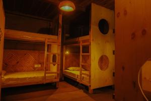 Shasha - Paused perfect