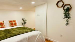 Steps to Kendall, MIT, Green Line