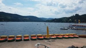 Komfort-Ferienwohnung am Feldberg, 2 Zimmer, Whirlpool, Residenz Grafenmatt, direkt am Skilift und an Wanderwegen