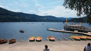 Komfort-Ferienwohnung am Feldberg, 2 Zimmer, Whirlpool, Residenz Grafenmatt, direkt am Skilift und an Wanderwegen