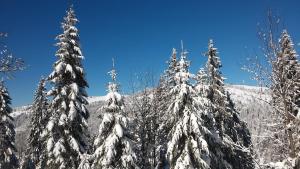 Komfort-Ferienwohnung am Feldberg, 2 Zimmer, Whirlpool, Residenz Grafenmatt, direkt am Skilift und an Wanderwegen