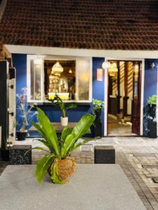 Winston ocean heaven