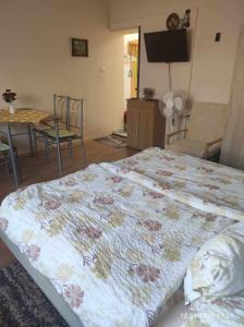 Apartman LALI