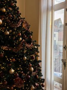 Mansion RL with Unique Decoration