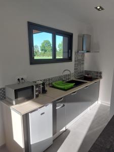 Pleasant independent studio gest