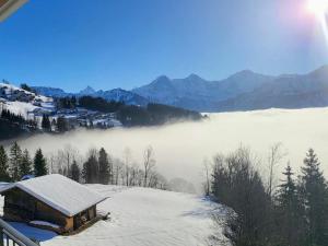 Weisses Haus - Parterre