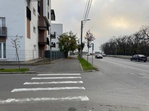 Luxury Apartment Romanescu