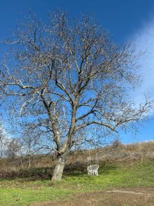 Cabana A-frame City View Târgoviște