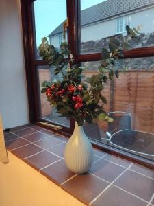 Charming Chard Town House Pets Welcome