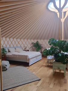 glamping v jurtě na Hranáči