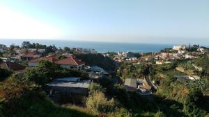 Enchanting and cozy ACHADA PALACE APARTMENT