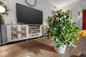 Intimate 2BD TCU Walkable