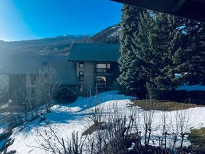 Parc des Ecrins 05290 Les MAISONNETTES APPARTEMENT 4 Pers