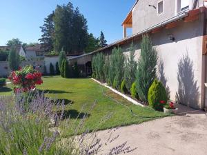 Apartman Vila Milica