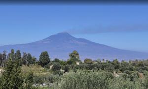 Heron House Appartaments