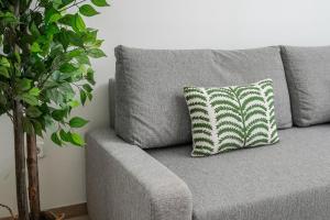 Modern Duplex-2Bedrooms 1.5Baths-Delicias