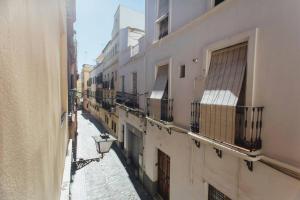 Spacious beautiful apartment - Seville Center