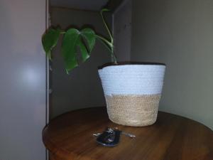 Goose On Uitvlught Self Catering Accommodation Room2