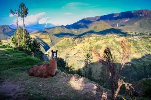 Starlight Mountain Lodge