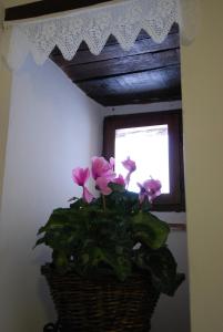 Appartement 2 Chambres (4 Adultes)