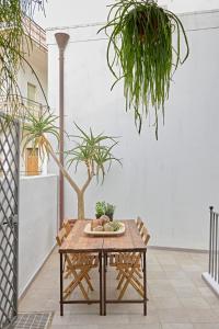 Agave Urban Oasis in Matino