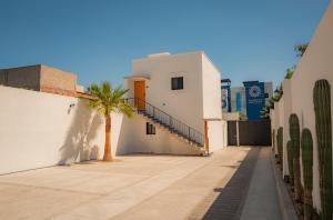 StudioPalma 202- Apartment near Downtown La Paz Cathedral with Daily cleaning & Parking