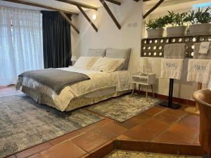 Suite del hotel Blau