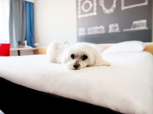 Ibis Poznan Stare Miasto