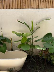 Aloha Boutique Uluwatu