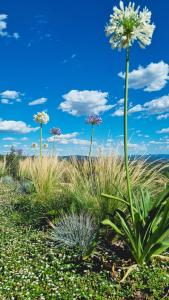 Podere La Gualda Vecchia alloggi di charme immersi nel Giardino Emozionale outdoor SPA