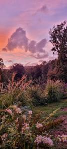 Podere La Gualda Vecchia alloggi di charme immersi nel Giardino Emozionale outdoor SPA