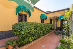 Casa Vacanze vicino Etna - Natura dellEtna