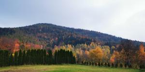 JAWORNICA HOUSE domek z pięknym widokiem