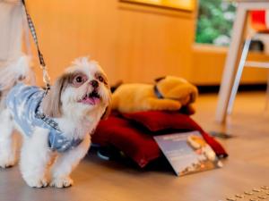 ibis Sao Paulo Paulista