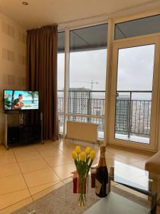 Мост сити АПП 151 с терассой