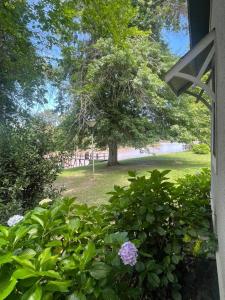 Casa con encanto islero