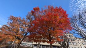 プチホテル　MASUYA