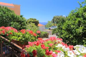 Apartment Zivogosce - Blato 1057d