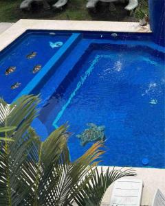 Casa Greengos Playa Matanchen