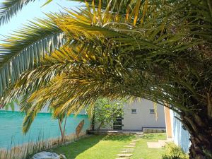 Cocos Bamboo
